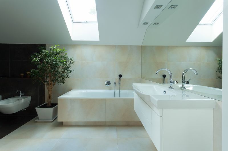 Bathroom with Skylight